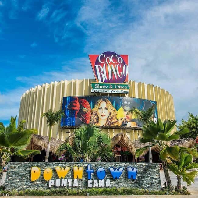 Santo Domingo: Panoramic tour to Punta Cana with Buggy Ride - Key Highlights You’ll Actually Use