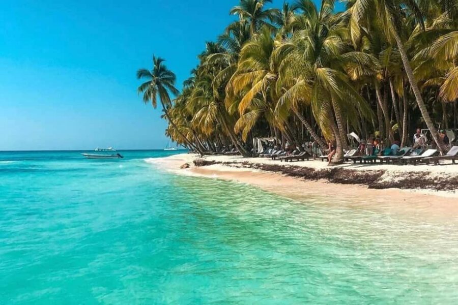 Santo Domingo: Saona Island Day Trip with Lunch and Drinks - Isla Saona beach time: swim, relax, repeat