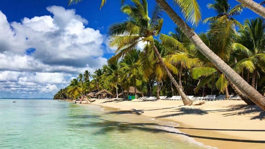 Santo Domingo: Saona Island Day Trip with Lunch and Drinks - Returning by catamaran: music, open bar, and a calmer finish