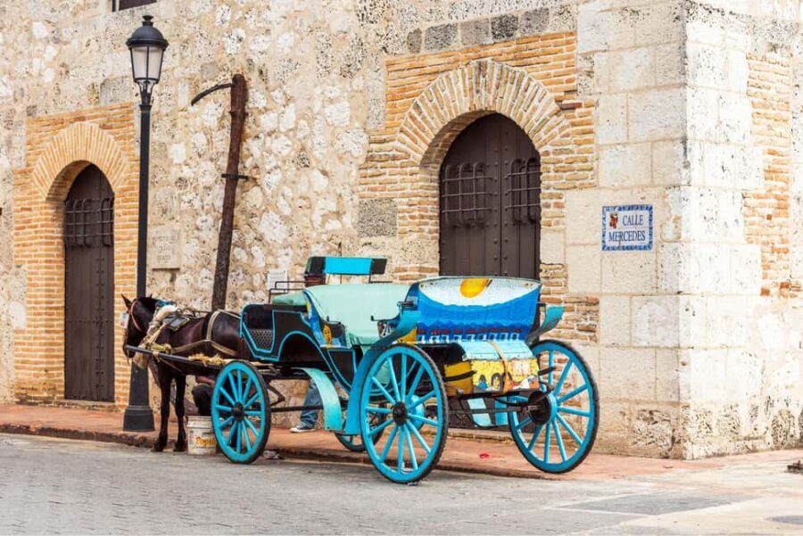 Santo Domingo: The Best of Santo Domingo Private City Tour - Why a private 3-hour Santo Domingo tour is a smart fit