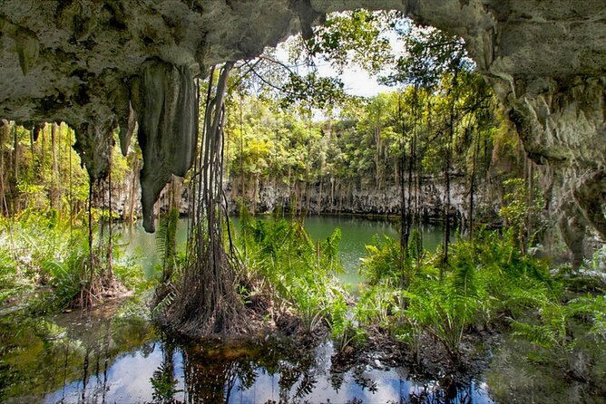 Santo Domingo Tour From Punta Cana - Zona Colonial, Los Tres Ojos - Price and value: is $95 worth a day like this?