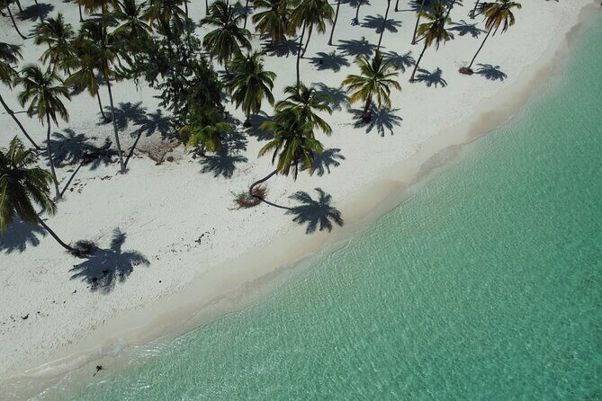 Saona by Speedboat: Private Beach & Snorkeling – Small Group - Saona’s Private Beach Set-Up: Chaise Lounges, Canopy Beds, and Shade