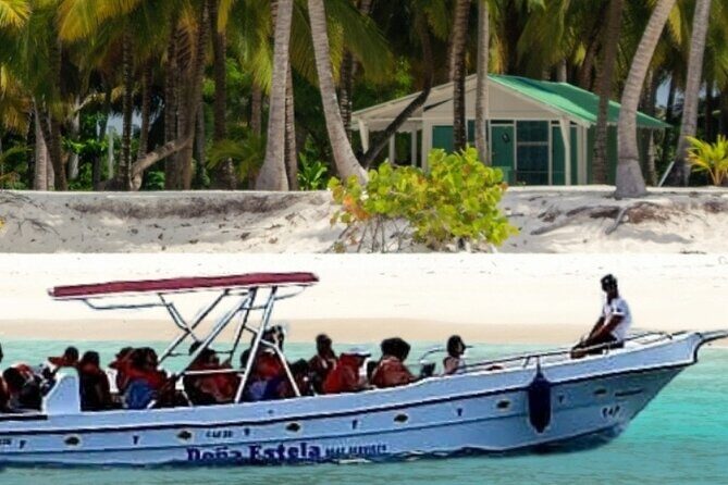 Saona by Speedboat: Private Beach & Snorkeling – Small Group - Snorkeling Time: Gear Provided, Water Full of Life