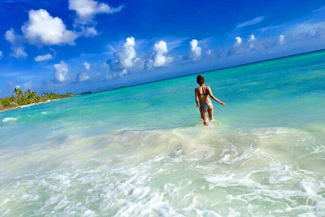Saona by Speedboat: Private Beach & Snorkeling – Small Group - The Natural Pool and the Starfish Moment