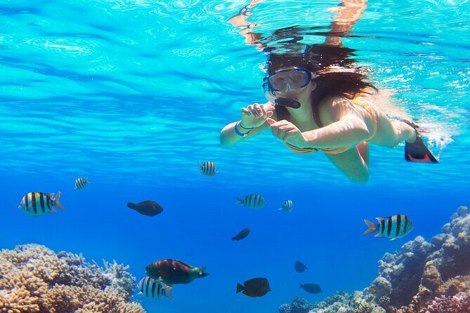 Saona by Speedboat: Private Beach & Snorkeling – Small Group - Cruising the Coast in a Speedboat (What It’s Like and Why It Matters)