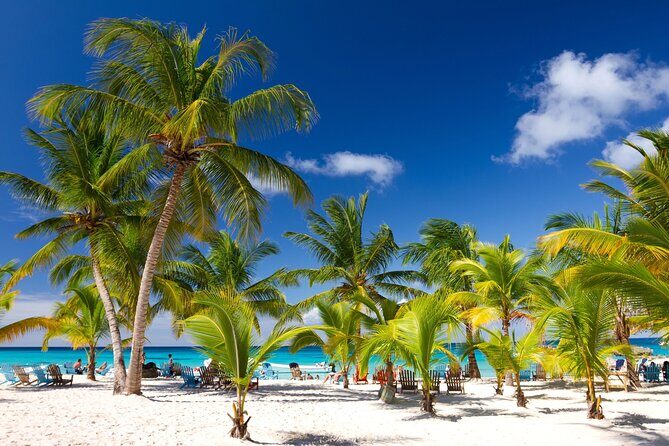 Saona Catamaran Cruise with Lunch and Natural Swimming Pool - Key highlights worth knowing before you go
