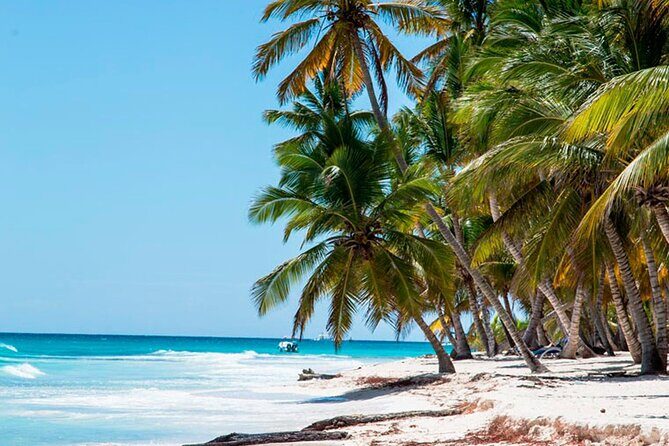 Saona Catamaran Cruise with Lunch and Natural Swimming Pool - Price and logistics: what your $75 covers in real terms