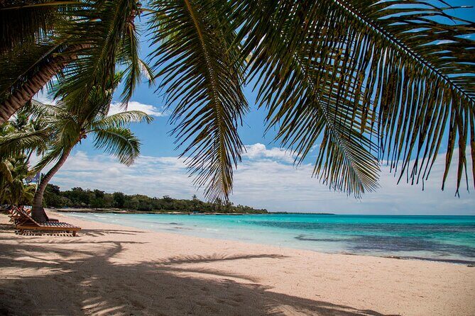 Saona Catamaran Cruise with Lunch and Natural Swimming Pool - What to pack for a smoother Saona day