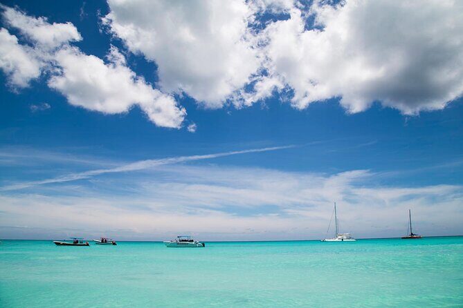 Saona Catamaran Cruise with Lunch and Natural Swimming Pool - Who this tour suits best (and who should think twice)