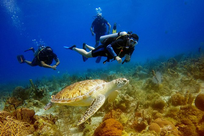 Saona Diving - Bayahibe and Saona: why this underwater day starts early