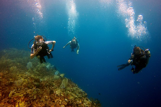 Saona Diving - Price and value: what $260 buys (and what it saves you)