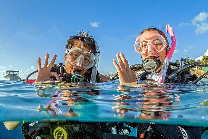 Saona Diving - The underwater game plan: two sites, guided focus