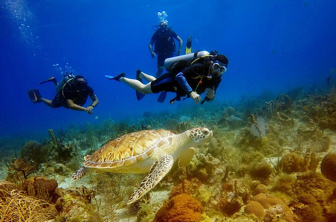 Saona Diving - Gear and double-tank setup: what to expect and how guides help