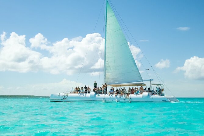 Saona Island Adventure From Punta Cana With Lunch and Transportation - What I love on Saona day—and what to watch
