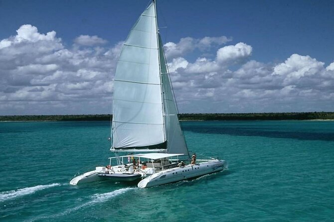 Saona Island Adventure From Punta Cana With Lunch and Transportation - Key things to know before you go