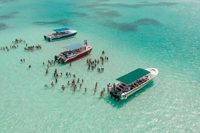 Saona Island Adventure From Punta Cana With Lunch and Transportation - Who this tour fits best