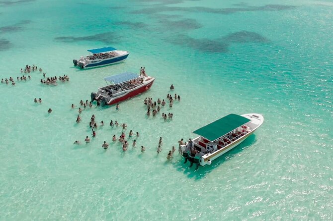 Saona Island Adventure From Punta Cana With Lunch and Transportation - Getting to Bayahíbe: the smooth start that matters