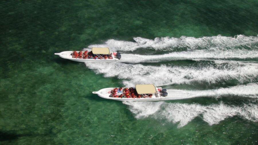 Saona Island All Inclusive Tour - Saona Island by Catamaran or Speedboat: How the Ride Sets the Tone