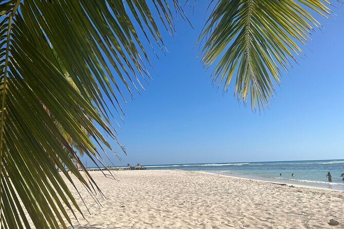 Saona Island and Chavon River Tour with Lunch and Drinks - Lunch, open bar, and snacks: included comfort that saves your day