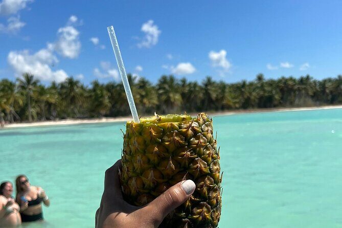 Saona Island and Chavon River Tour with Lunch and Drinks - Speedboat comfort tips that actually matter