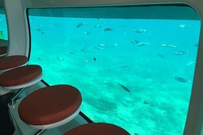 Saona Island at Yellow Submarine Exclusive Tour from Punta Cana - Who this tour is best for in Punta Cana