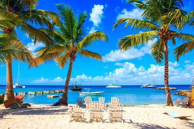 Saona Island by Paradise Travel - Key Points You’ll Actually Care About