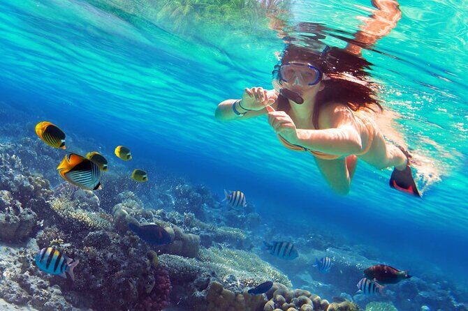 Saona Island by Paradise Travel - Saona Island Beach Time: Lunch, 2–3 Hours Ashore, and Dance Lessons