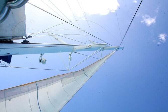 Saona Island by Paradise Travel - Price and Value: Does $80 Make Sense for This Day?