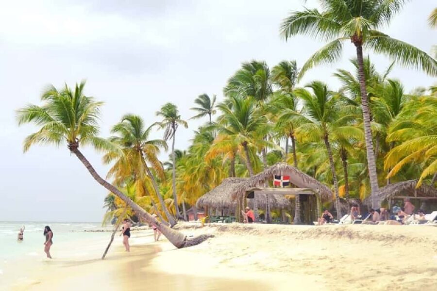 SAONA ISLAND: Catamaran Boat with Open Bar, Lunch and More.. - Natural Pool Reality Check: Shallow Water, Starfish, and Time Limits