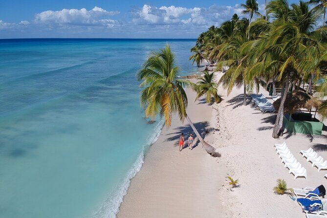 Saona Island Catamaran Cruise Experience (All Inclusive) - Snorkeling and the Natural Ocean Pool Swim