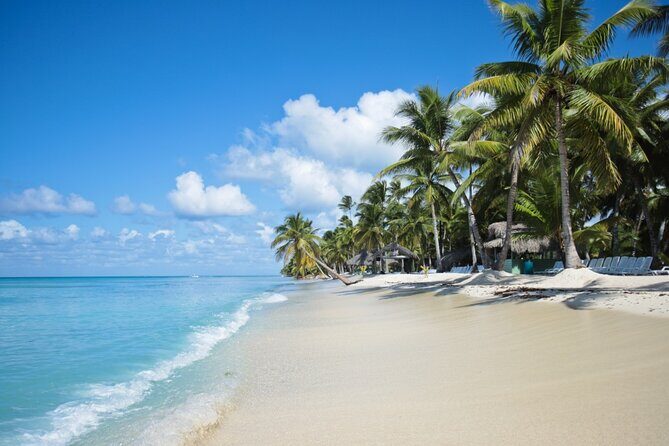 Saona Island Catamaran Cruise Experience (All Inclusive) - Lunch on the Island and How to Make It Feel Like a Proper Meal