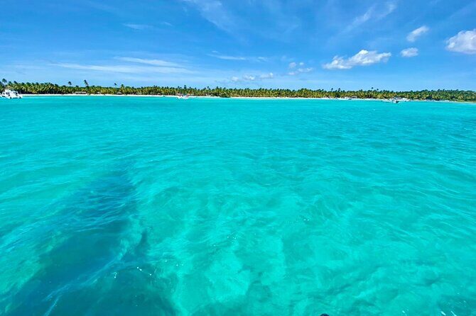 Saona Island Catamaran Cruise Experience (All Inclusive) - Open Bar Expectations: Fun Factor vs. Control Factor