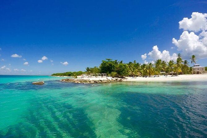 Saona Island Catamaran Cruise Experience (All Inclusive) - Catamaran Cruising With Music and an Open Bar