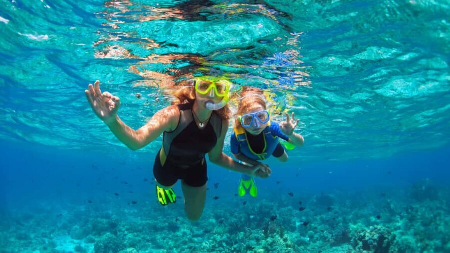 Saona Island: Catamaran Excursion with Lunch and Drinks - Who this Saona tour suits best (and who should skip)