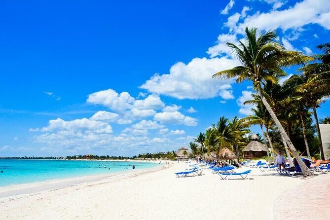 Saona Island Catamaran For Small Group Hotel Pick Food Drink - Key things to know up front