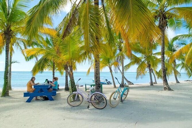 Saona Island Catamaran For Small Group Hotel Pick Food Drink - Price and value: is $96.11 worth it for Saona?