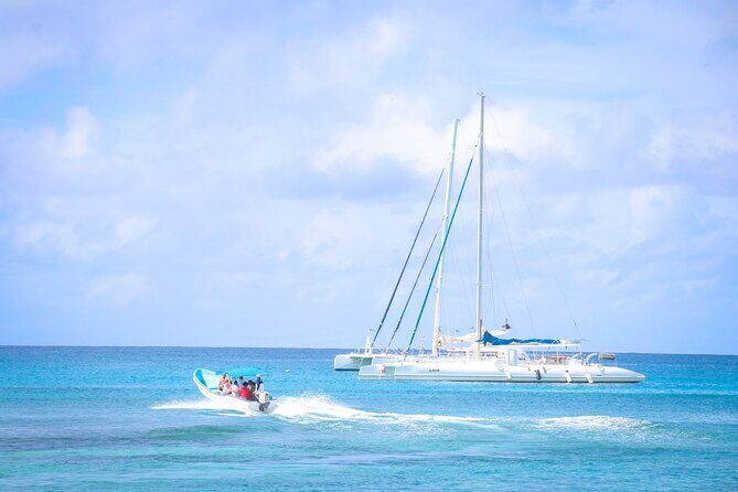 Saona Island Catamaran Tour Buffet & Open Bar from Punta Cana - Buffet lunch, snacks, and open bar: the food flow (and the reality check)