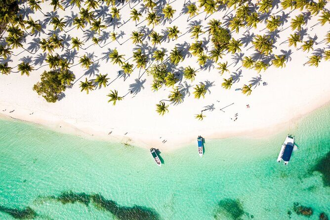 Saona Island Cruise & Private Beach - Key things you should know before you go