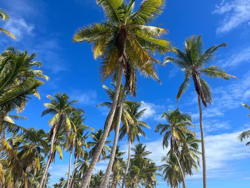 Saona Island Day for Marella Discovery (La Romana Port) - Price and Value: What You Really Pay For
