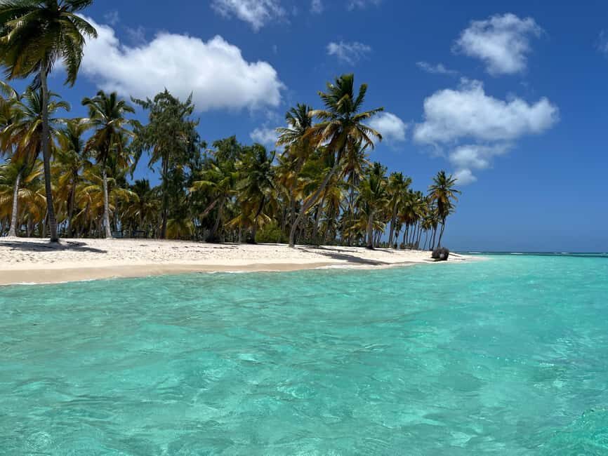 Saona Island Day for Marella Discovery (La Romana Port) - Turtle Nursery Reality Check: Seasonal, Never Promised