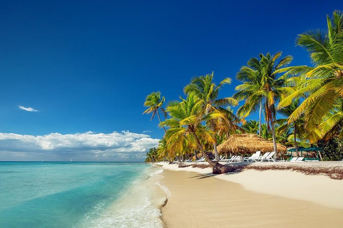 Saona Island Day Tour - Key things to know before you go