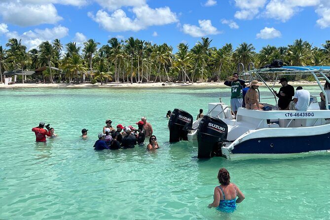 Saona Island Day Tour - Price check: is $85 a fair deal for this itinerary?