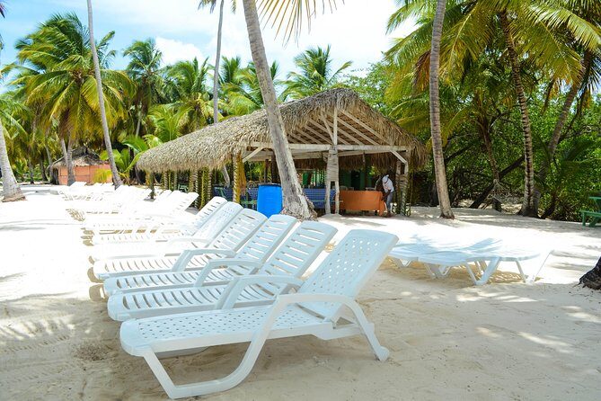 Saona Island Day Trip - Isla Saona beach time: flexible swimming and real room to breathe