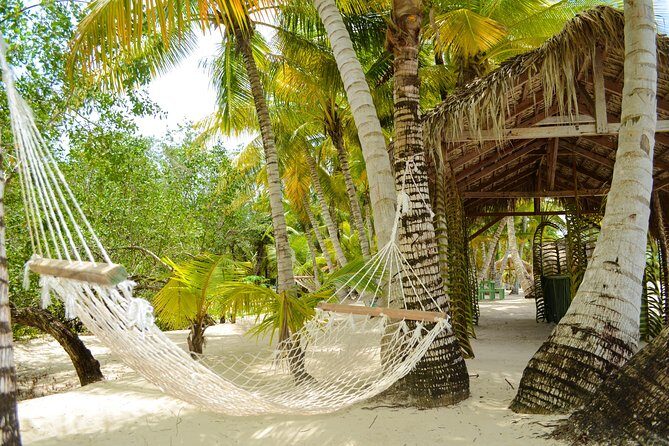 Saona Island Day Trip - How the 8-hour rhythm keeps you from getting worn out