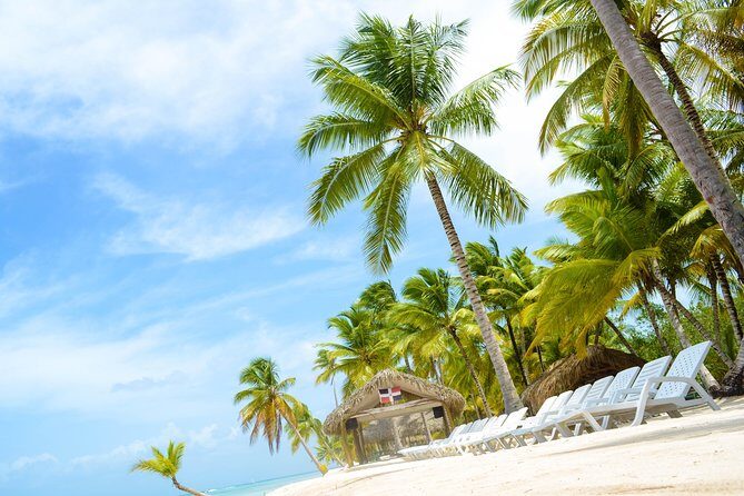 Saona Island Day Trip - Who this Saona trip fits best (and who should reconsider)