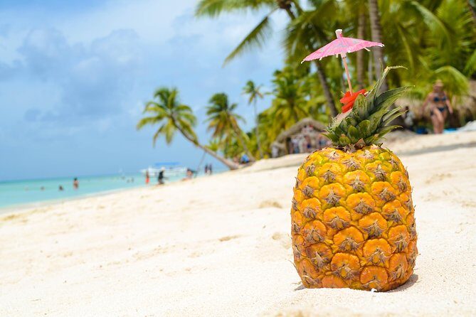 Saona Island Day Trip - Water, sun, and the plastic question: how to be a good eco guest