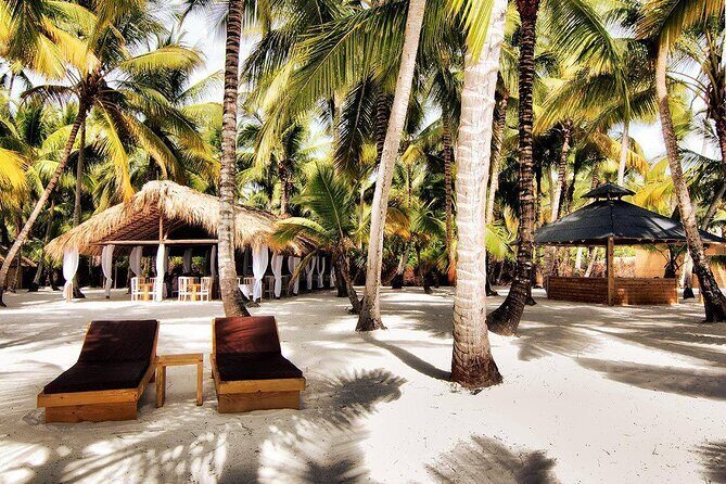 Saona Island Day Trip and Cruise from Punta Cana - Six hours on Saona Island: what you can do with that time