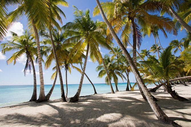 Saona Island Day Trip From Punta Cana with Lunch and Open Bar - Morning Pickup and the Trip to Bayahibe