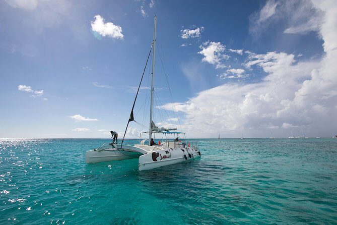 Saona Island Day Trip From Punta Cana with Lunch and Open Bar - Price and Logistics: Does $82 Feel Fair?
