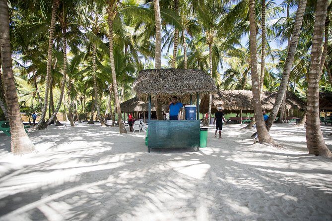 Saona Island Day Trip From Punta Cana with Lunch and Open Bar - Who This Tour Fits Best (and Who Might Skip It)
